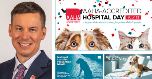 P. Adam Hechko, DVM and various images from the July publicity toolbox