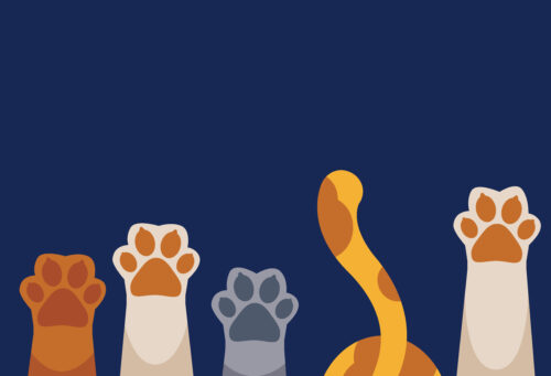 Cats raising Paws