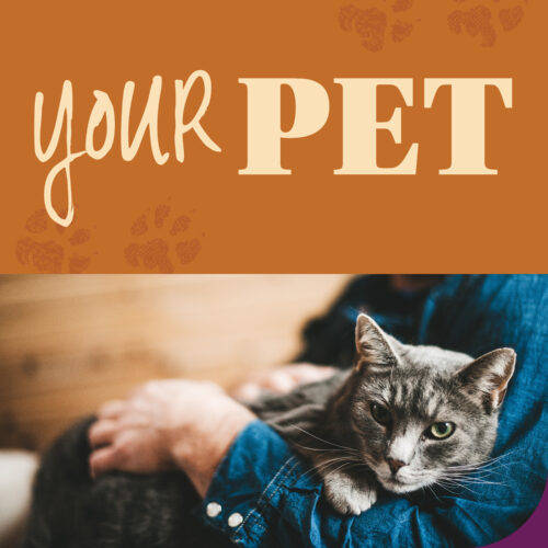 Person holding cat in lap. Image used to promote pet newsletter.