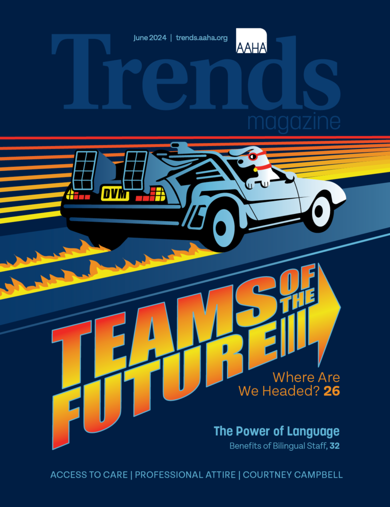 Cover of Trends Magazine, July 2024: Illustration of the DeLorean from Back to the Future with a license plate that says 