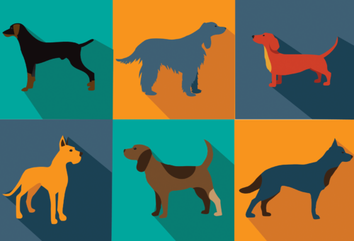 illustration of six dogs in color squares