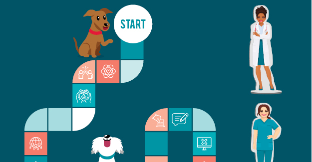 Illustration of a veterinary board game to represent the rules of an employee handbook