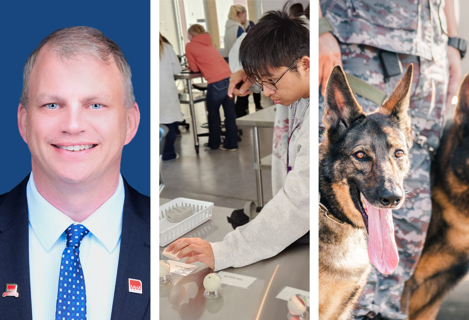 3 photos: AAHA president, Mark Thompson, DVM, CCRP, a veterinary student studying a 3D-printed eye, and a German Shepherd next to Army soldiers