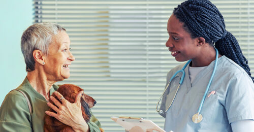 A veterinary technician getting a patient history from a client holding a senior dachshund.