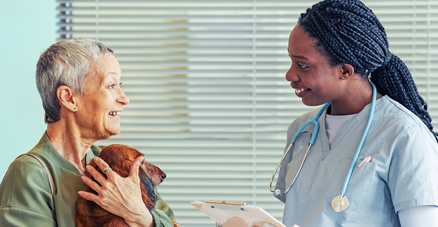 A veterinary technician getting a patient history from a client holding a senior dachshund.