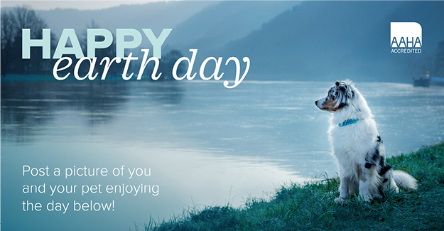 A social media image from the April publicity toolbox—Happy earth day. A dog is sitting next to a lake.