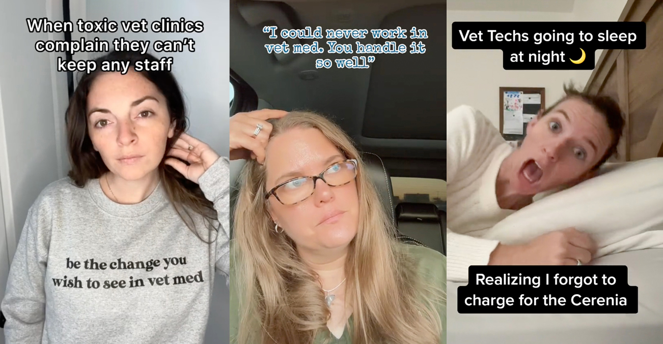 TikTok memes of 3 vet tech social media influencers: Emily Ahsan, CVT, Shena Humbert, LVT, and Sarah Parsons, LVT