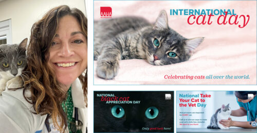 Lynn Happel, DVM and various images from the August publicity toolbox