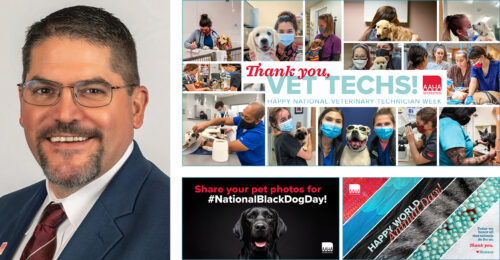 Scott Driever, DVM and various images from the October publicity toolbox