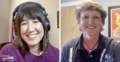 Still of a Central Line recording with Katie Berlin, DVM, and Renee Rucinsky, DVM, DABVP (Feline) as they discuss Bexacat
