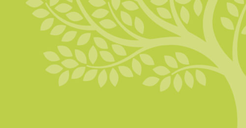 Illustration of a flourishing tree.