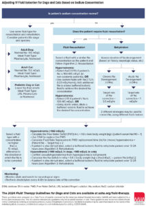 Adjusting IV Fluid Selection Infographic
