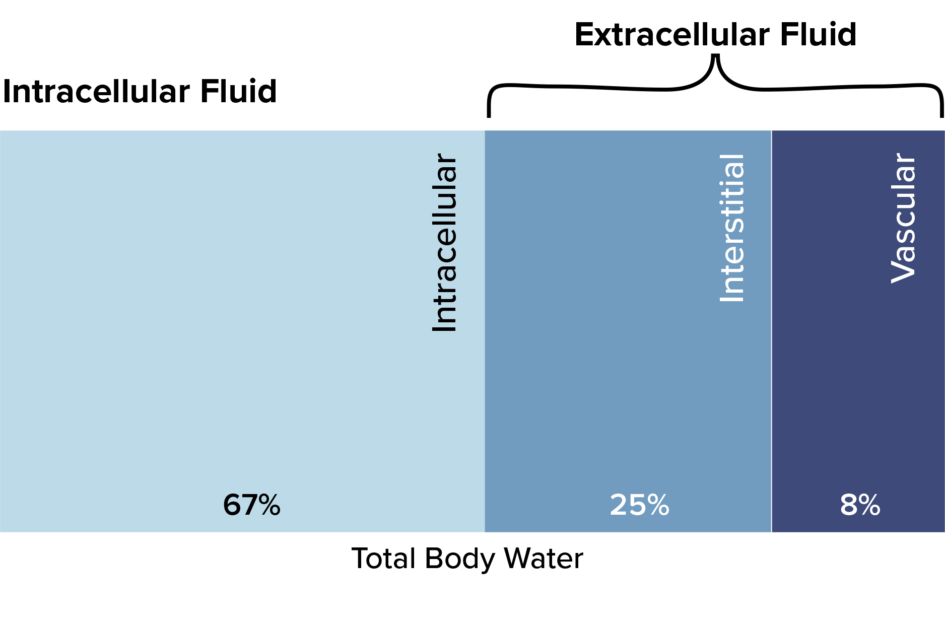 Figure 1 Bar graph of total body water
