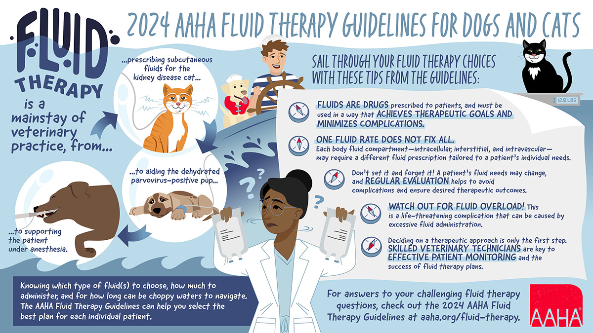 Fluid Therapy Infographic Summary