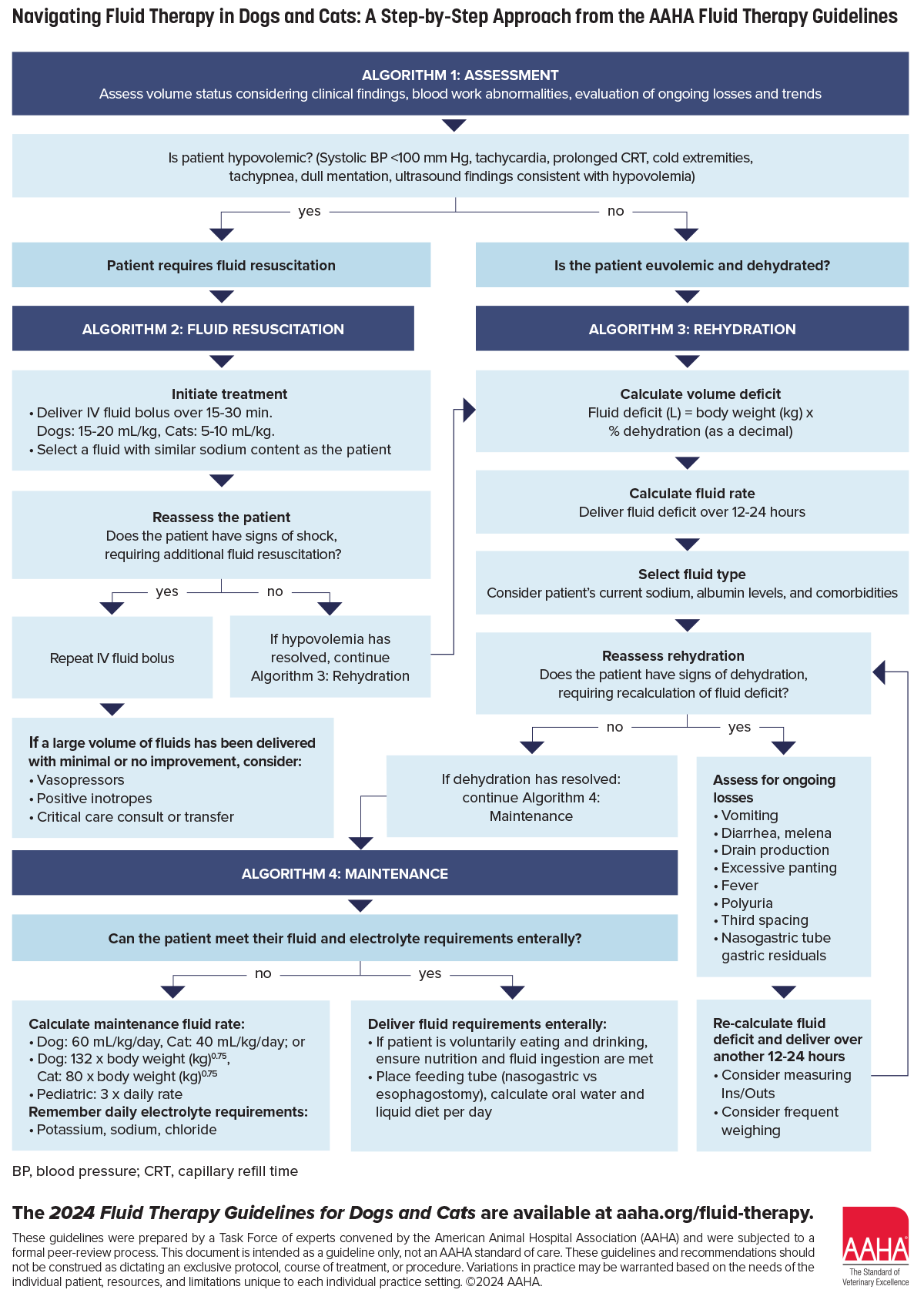 Navigating Fluid Therapy Infographic