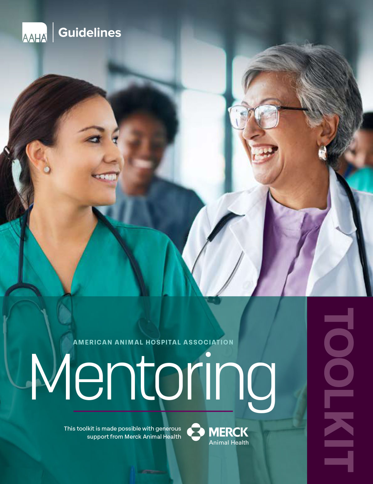 Cover of Mentoring Toolkit