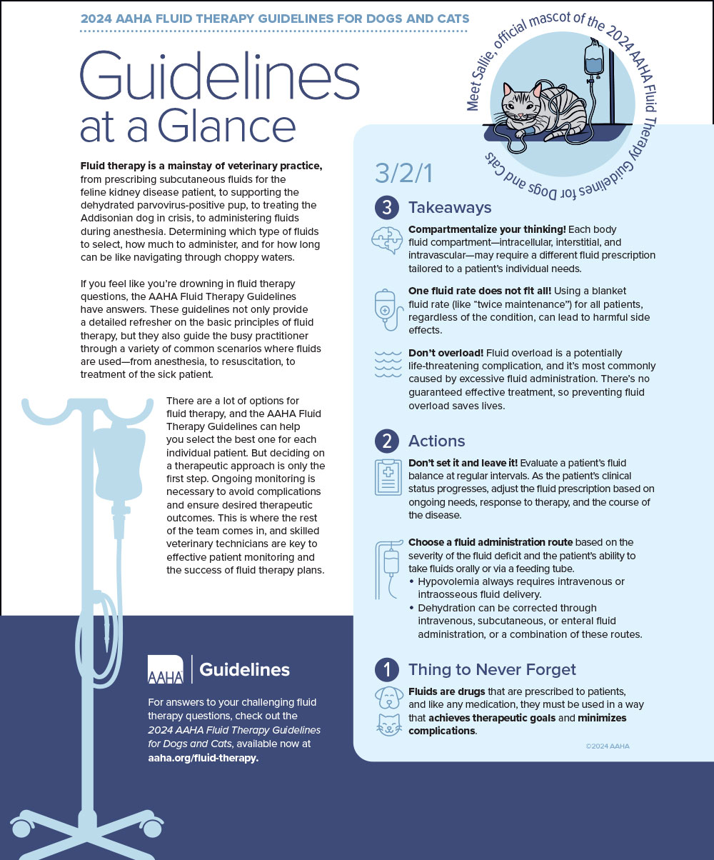 2024 Fluid Therapy Guidelines at a Glance
