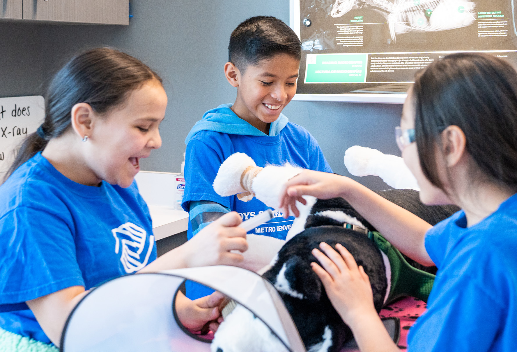 Children participating in a mock vet clinic at the Dumb Friends League Veterinary Hospital at CSU Spur in Denver, Colorado to introduce them to the veterinary profession