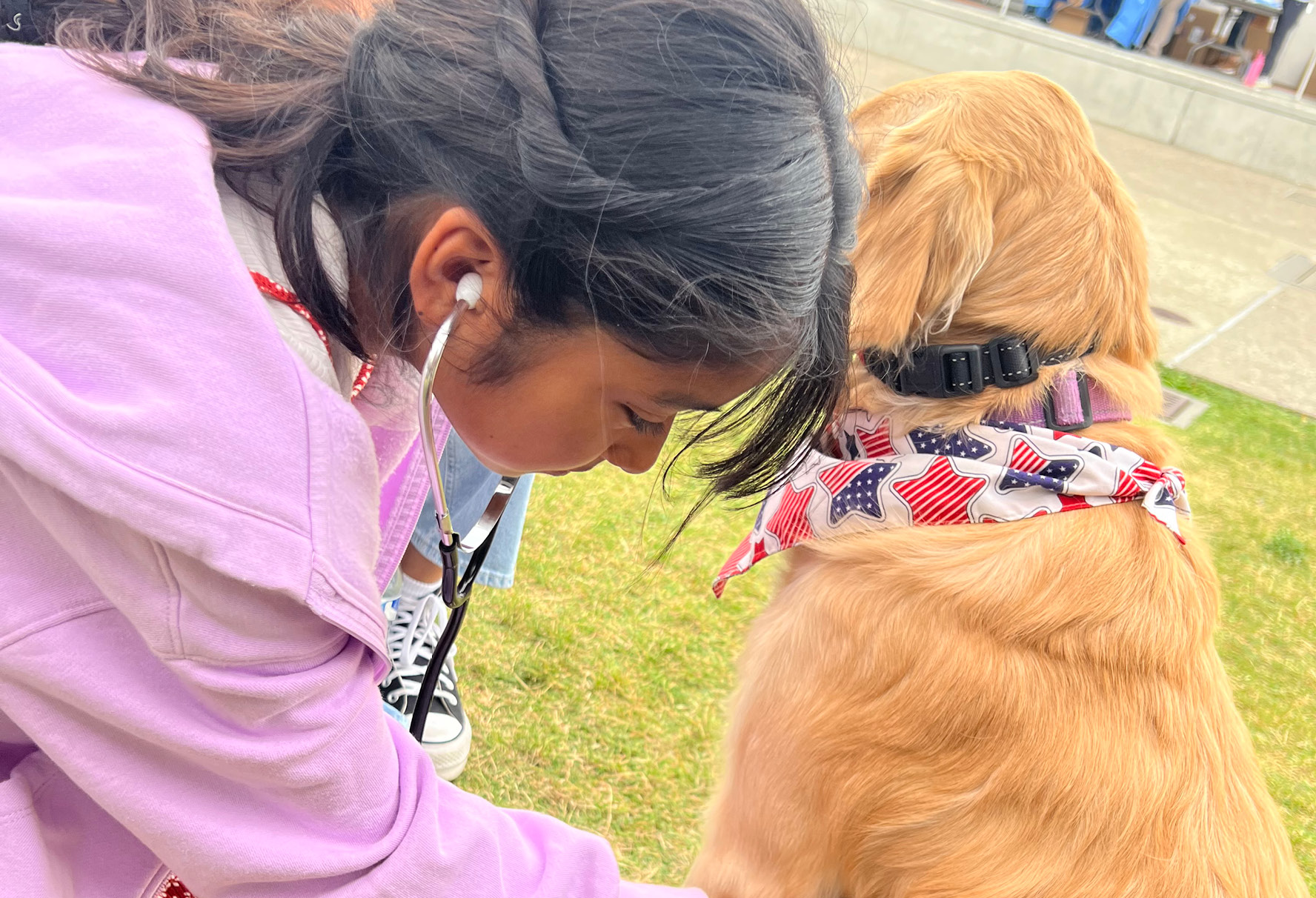 A young student listening to a golden retriever's heart