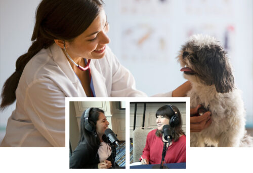 An image of a happy veterinarian listening to a dog's heart, plus stills from an episode of Central Line: The AAHA Podcast showing Katie Berlin, DVM, and Esmeralda Cano, DVM.
