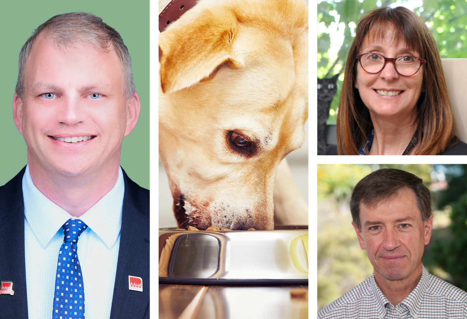 3 photos: AAHA president, Mark Thompson, DVM, CCRP, a hungry yellow lab salivating as he eats kibble, and photos of Katrina Mealey, DVM, PhD, DACVCP, DACVIM, and Rance Sellon, DVM, PhD, DACVIM.