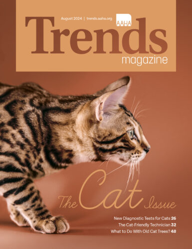 Cover of August 2024 Trends—The Cat Issue—a sideview of a bengal cat is