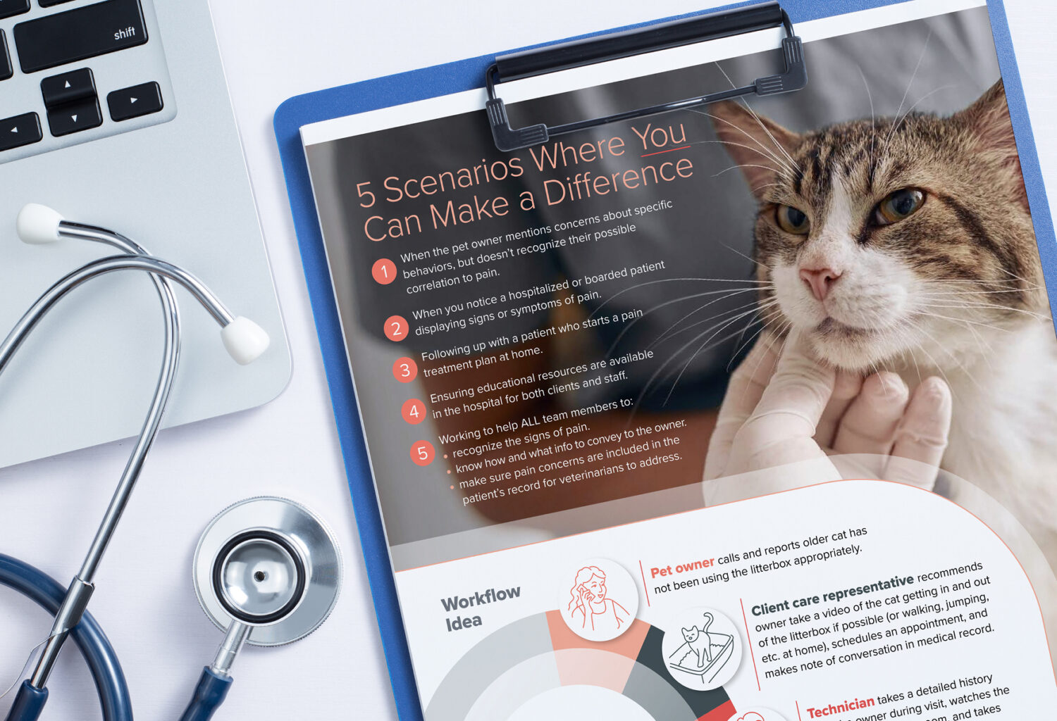 A clipboard with a pain management handout for cats clipped to it