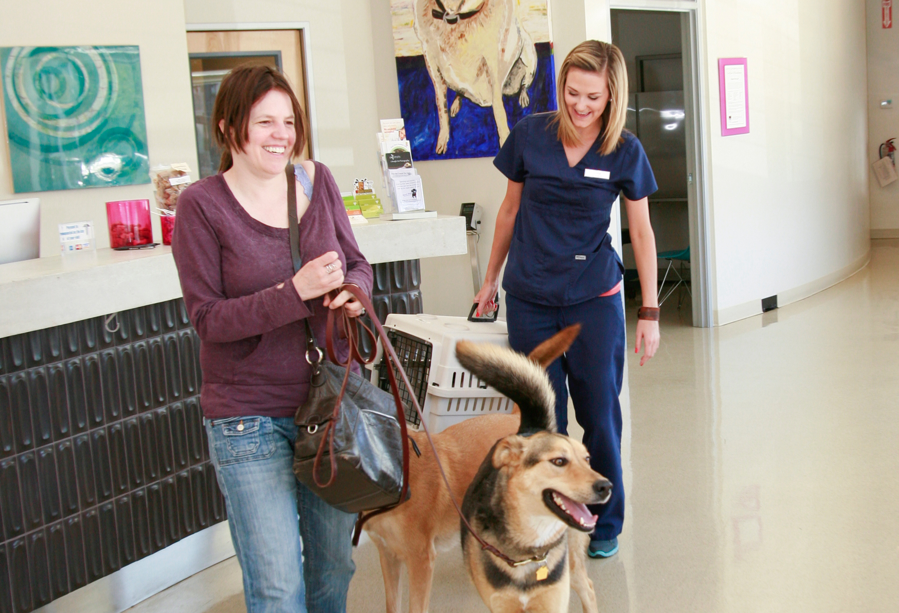 A customer service representative helps a pet owner carry her cat while the pet owner walks 2 dogs.