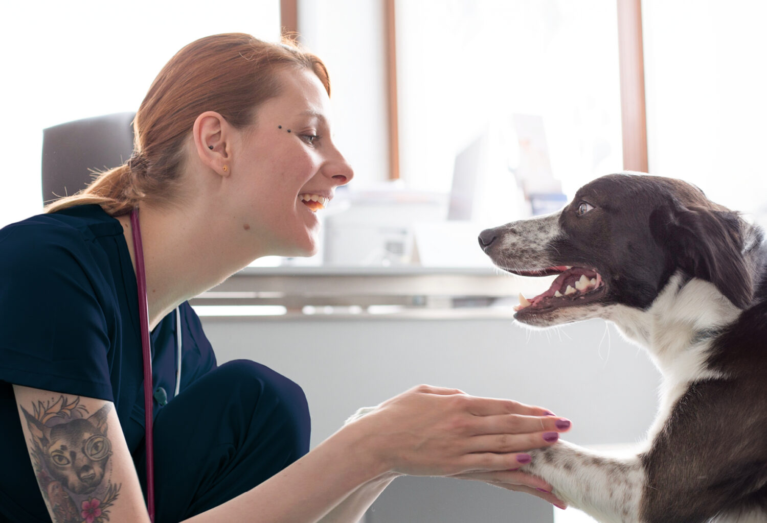 Photo of a happy tech holding the paw of a happy dog.