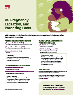 Pregnancy Laws Handout cover