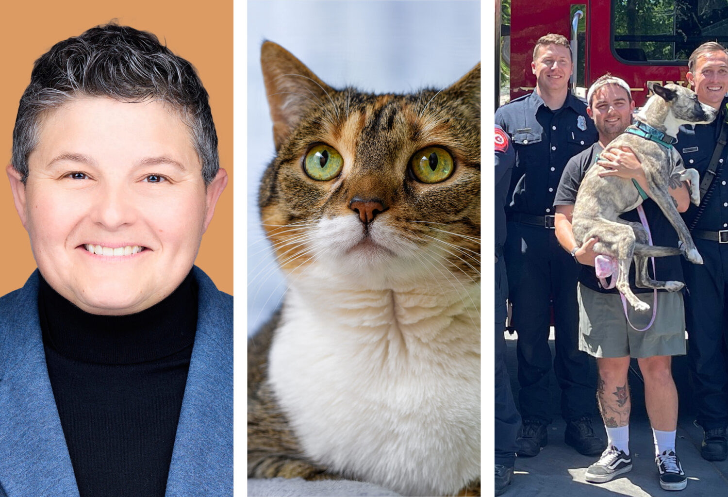 3 photos: AAHA vice president, Parva Bezrutczyk, DVM, an obese cat, and firefighters holding a dog.