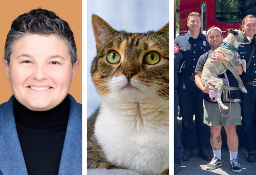 3 photos: AAHA vice president, Parva Bezrutczyk, DVM, an obese cat, and firefighters holding a dog.
