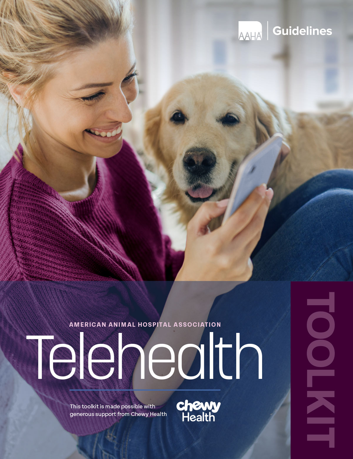 Telehealth Toolkit Cover
