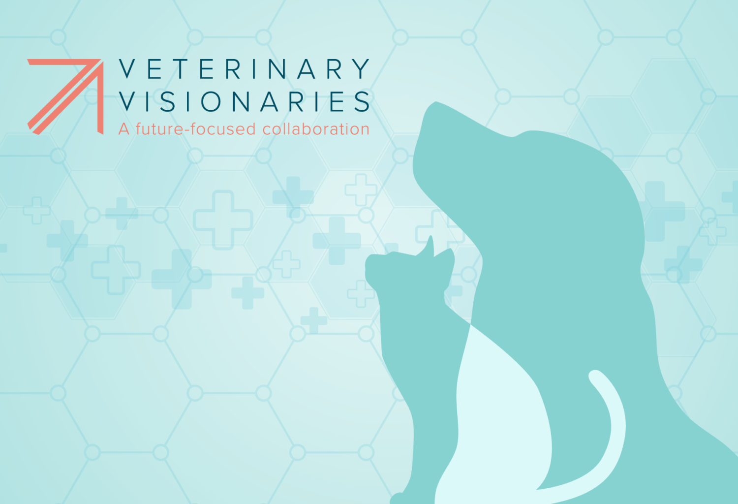 Veterinary Visionaries logo, dog and cat silhouette