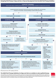 Navigating Fluid Therapy Infographic