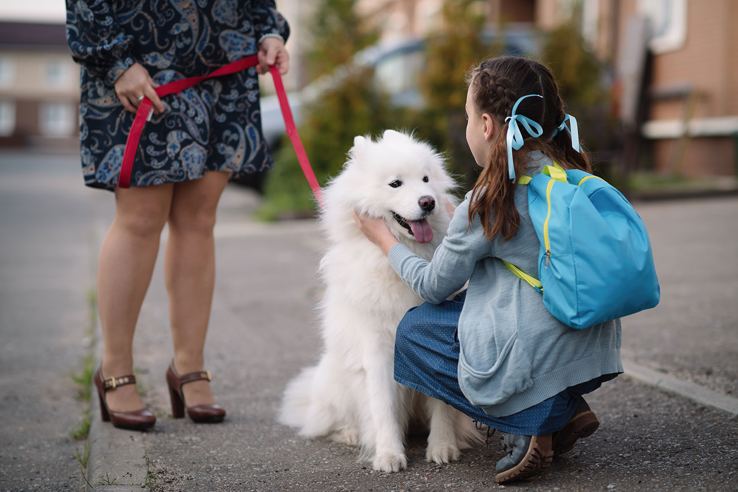 Child with backpack petting dog