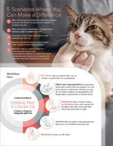 A handout detailing how to manage chronic pain in feline patients.