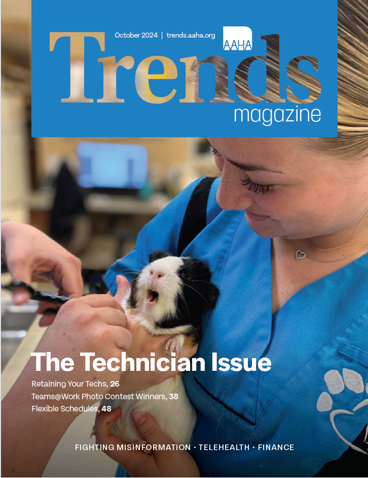 Trends October 2024 Cover