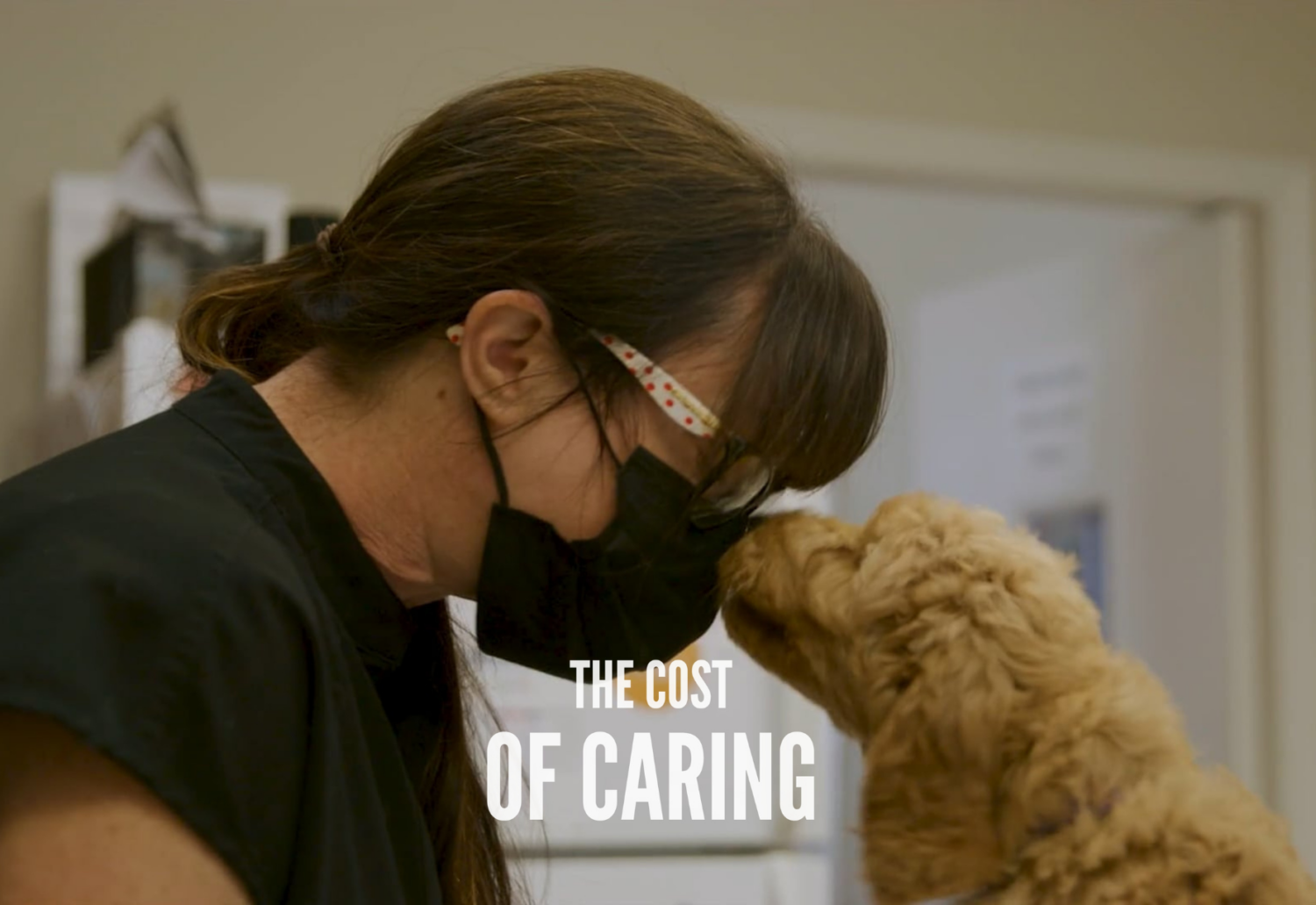 A veterinarian touches noses with a puppy. The text underneath reads: 