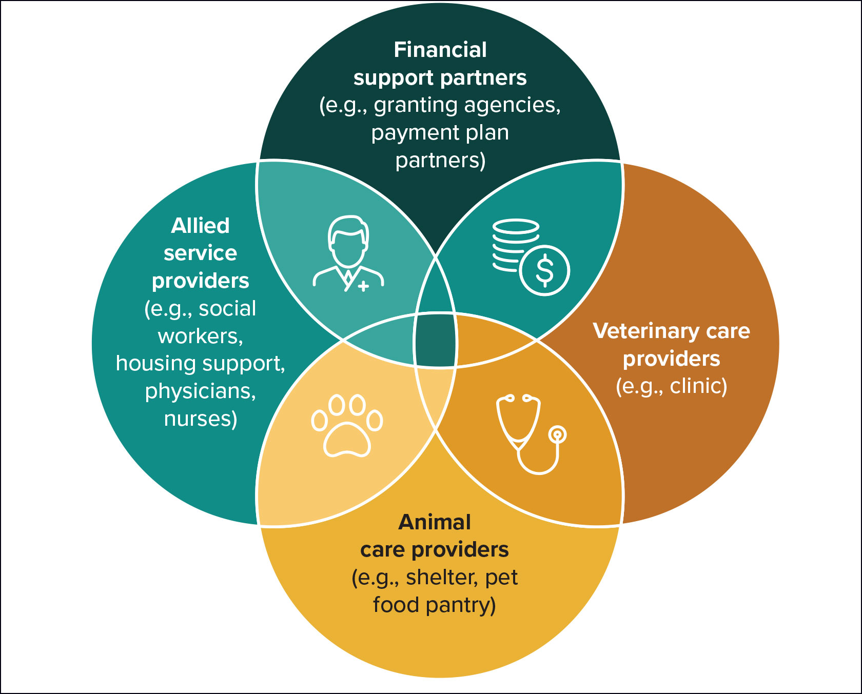 Diagram of Organizational assets that contribute to a community care network