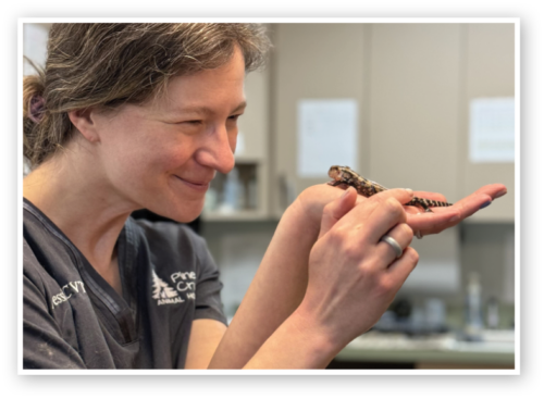 Vet tech smiling at a lizard