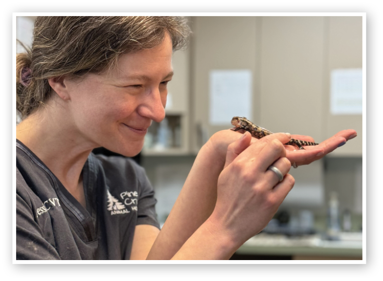 Vet tech smiling at a lizard
