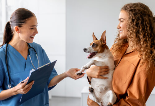 vet and pet owner talking