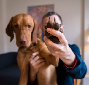 Man with phone and dog