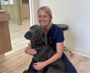Woman vet with pet dog