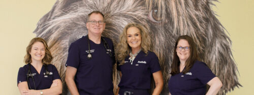 Petfolk employees