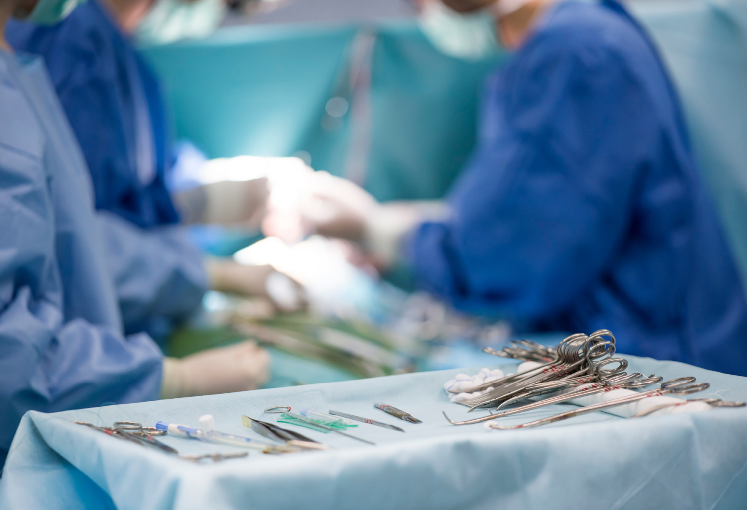 Two veterinarians perform surgery at a veterinary clinic.