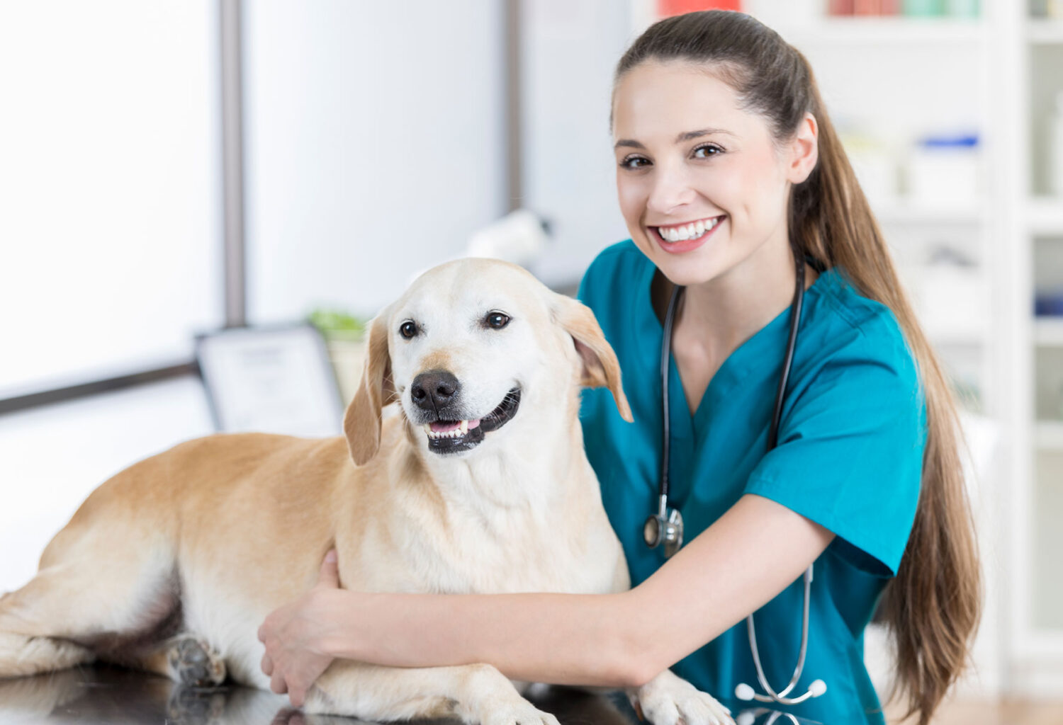 Veterinary Technician with dog on exam table