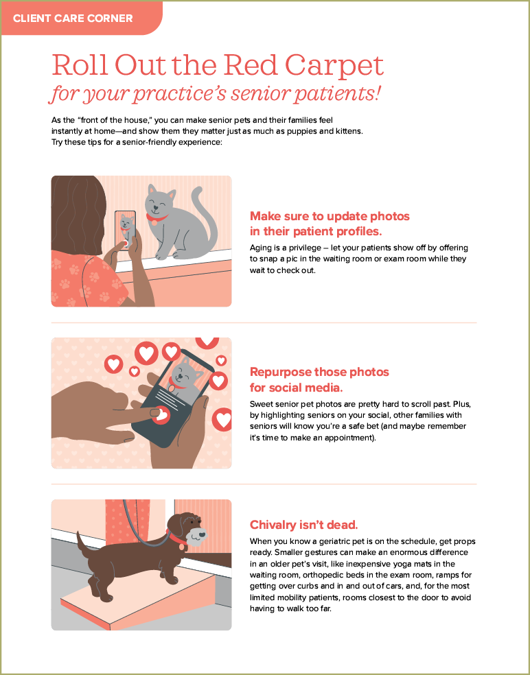 Making Seniors feel at home handout