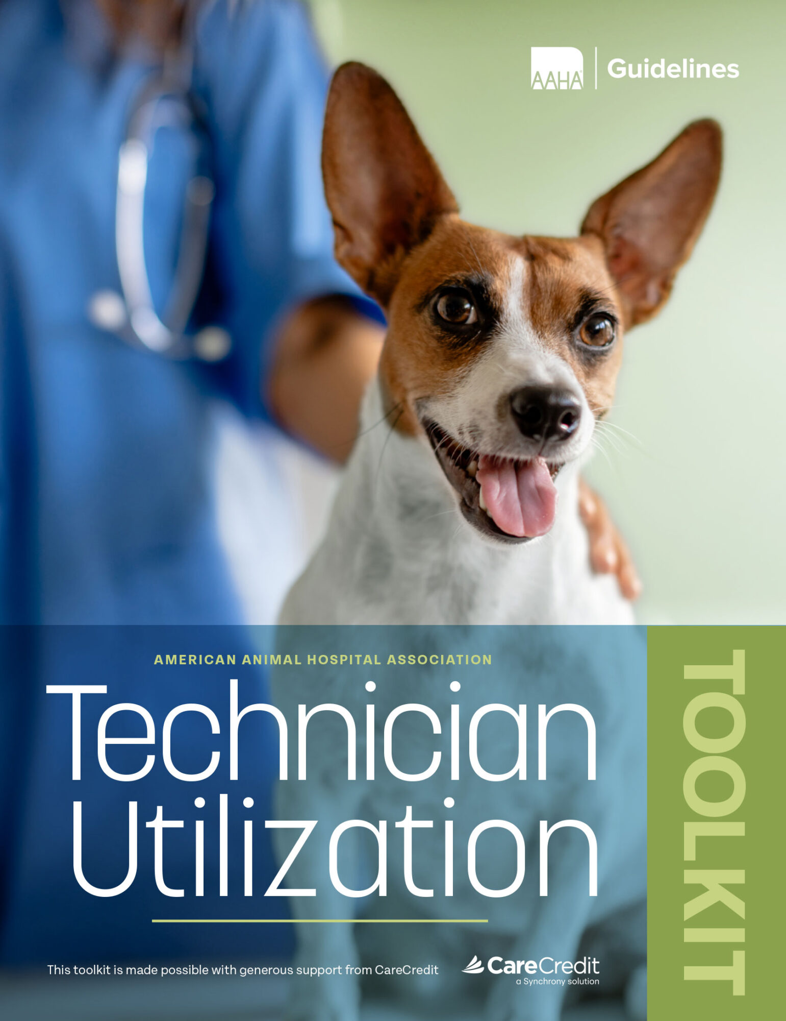 Technician Utilization Toolkit Cover